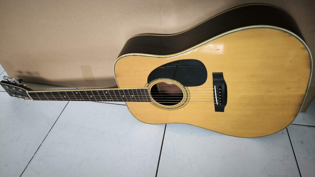 Dan Guitar Acoustic Morris W25 6
