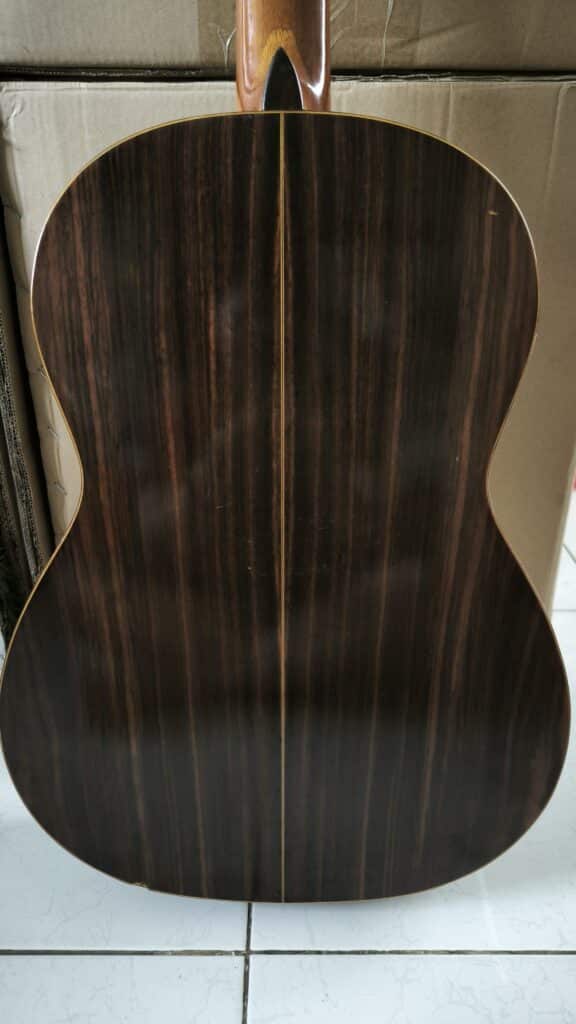 Dan Guitar Classic Ryoji Matsuoka N0 4
